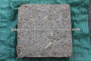 SUGAR CANE BAGASSE_NON FERMENTED SUGARCANE BAGASSE - Product Image 2