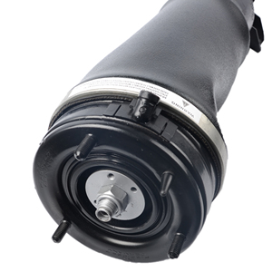 Lr012860 lr038801 lr012885 giảm xóc từ phía trước Hệ thống treo không khí thanh chống cho L322 hse Vogue - Product Image 5