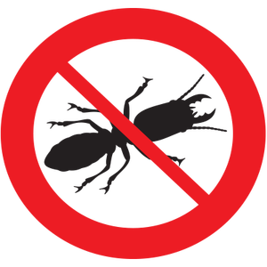 ป้องกันปลวกมาสเตอร์แบทช์ - Product Image 1