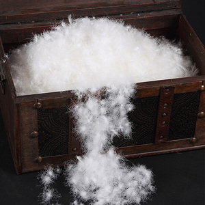 En gros 95% duvet d'oie blanche norme européenne - Product Image 1