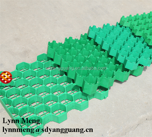 <span class=keywords><strong>Prix</strong></span> du géogrille en plastique pour pavés / parking de voitures - Product Image 5