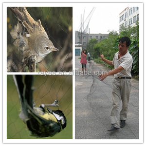 Pájaro redes Agricola uccello rete... uccello reti por la cattura di uccelli - Product Image 4