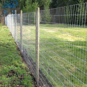 Cercado de hierro forjado <span class=keywords><strong>para</strong></span> agricultura, unión con bisagras, nudo fijo, acero <span class=keywords><strong>para</strong></span> granja, Australia - Product Image 6