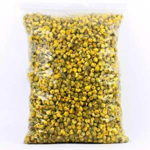 ดอกเบญจมาศดอกเบญจมาศจักรพรรดิทอง - Product Image 2