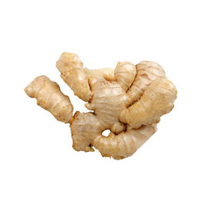 <span class=keywords><strong>Si</strong></span> compras jengibre seco - Product Image 2