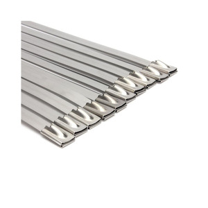 ربطة عنق معدنية مغلفة بالخدمة الشاقة SS304/من الفولاذ المقاوم للصدأ بسحاب ذاتي القفل - Product Image 3