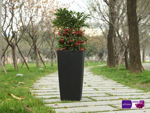 rural sentimientos amorosos de la caña hace arriba de la <span class=keywords><strong>serie</strong></span> classic - Product Image 1
