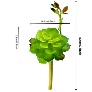 <span class=keywords><strong>2</strong></span> pcs Artificielle succulentes plantes tropicales et fleurs - Product Image 5