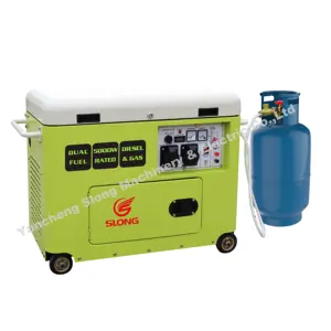 5KW SILENT DIESEL NG GAS GENERATOR