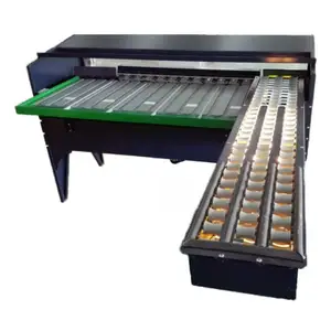 Egg Grading Machine/egg Sorting Machine/egg Grader For Sale Egg Grading Packing Machine