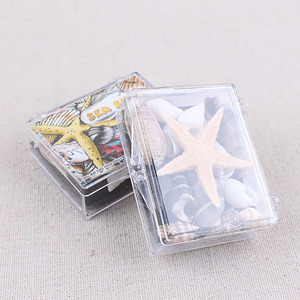 海洋生物標本アクリルシェル標本地理教育リソース - Product Image 3