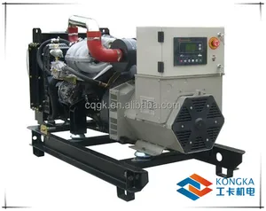 15kw/19kva marca China motor generador de gas