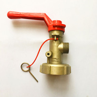 Extincteur à poudre sèche de haute qualité, valve en laiton chromé peint au CO2