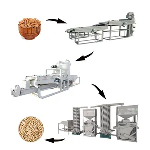 commercial pine nut processing line pine nut grading shelling machine for sale