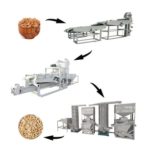 商业松树坚果加工线松坚果分级炮机出售