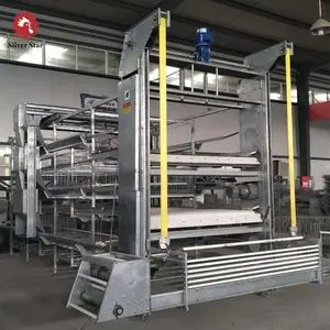 4 Levels H Type Battery Chicken Broiler Cage System In Indonesia Philippines Malaysia Farm
