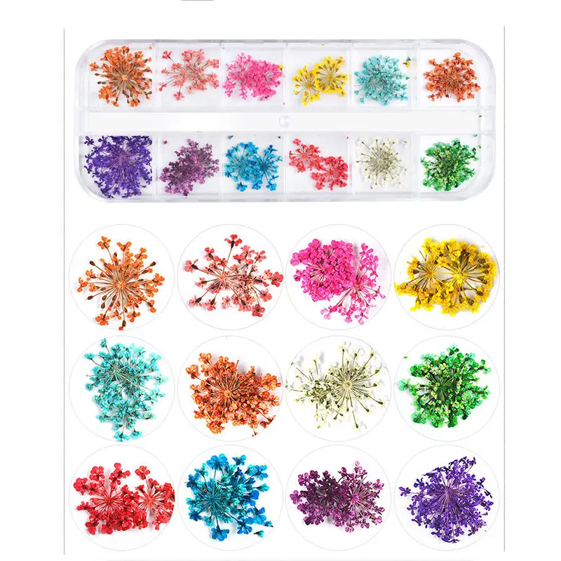 12 renkli tırnaklar  sanat süslemeleri doğal kurutulmuş çiçek gerçek kuru dantel çiçekler için UV jel akrilik DIY manikür tasarımlar