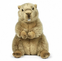 Jouet en peluche mignon et doux, marmotte, marmotte des prairies