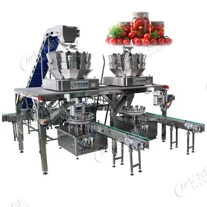 Leadworld Factory directly offer professional automatic tomato canning machine