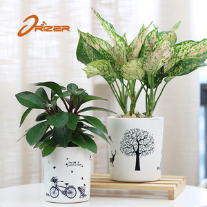 Approvisionnement d'usine <span class=keywords><strong>pas</strong></span> <span class=keywords><strong>cher</strong></span> auto arrosage <span class=keywords><strong>en</strong></span> <span class=keywords><strong>plastique</strong></span> <span class=keywords><strong>grand</strong></span> <span class=keywords><strong>pot</strong></span> de jardin pour l'extérieur et intérieur décor - Product Image 5