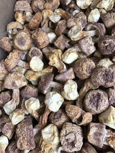 Detan seco <span class=keywords><strong>Agaricus</strong></span> blazei/Nombres de hongos <span class=keywords><strong>comestibles</strong></span> - Product Image 2