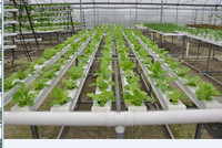 Sistem Hidroponik Rumah Kaca 2 3 4 Inch, Pot Jaring, Pot Tanam untuk Kebun Hidroponik, Pot Bunga Jaring, Planter