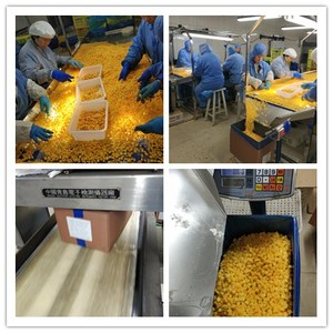 Cây trồng mới đông lạnh đào vàng nửa giá tốt iqf trái cây cho mứt đóng hộp hương vị ngọt ngào bao bì số lượng lớn - Product Image 6