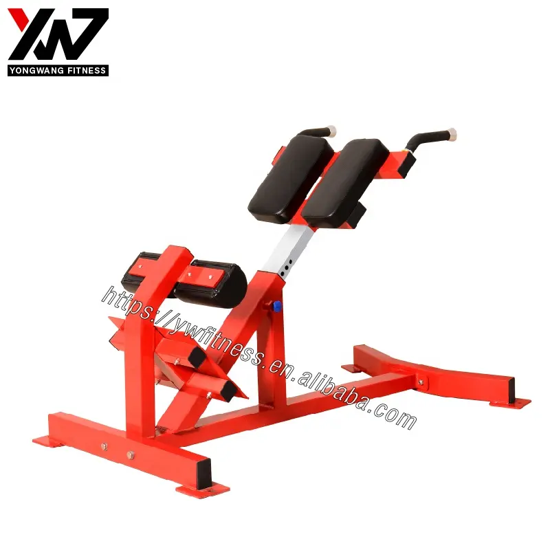 gym equipment online fitness gym machine back extension-1608