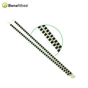 Benefitbee pp ape Regina Allevamento Kit allevamento tazza kit ape regina gabbie a rulli apicoltore <span class=keywords><strong>Apicoltura</strong></span> <span class=keywords><strong>Attrezzature</strong></span> - Product Image 4
