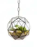 Vase de Terrarium en verre, vitrail géométrique, boule suspendue à l'air, plante succulente, boule
