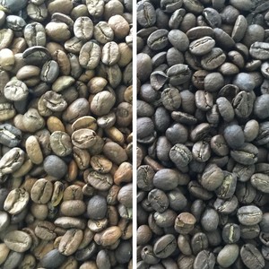 Máquina Seleccionadora Óptica por Color de Grano de Café Tostado - Product Image 6