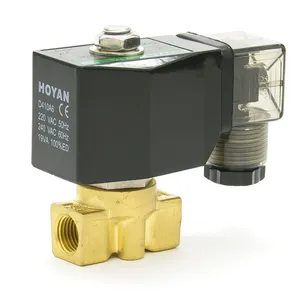 hoyan D410 D3 24V DC 1/4in high pressure solenoid valve