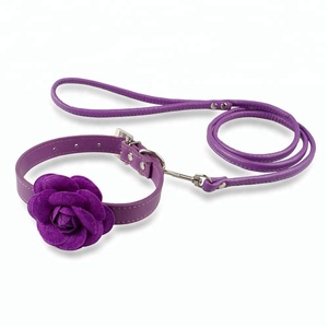 Fleur en cuir collier de chien et laisse Set pour Ebay Amazon produits pour animaux domestiques boutique - Product Image 4