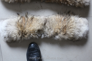 Venta al por mayor del color natural del precio real del <span class=keywords><strong>coyote</strong></span> de la piel del ajuste del collar / de las tiras de la piel del l - Product Image 6
