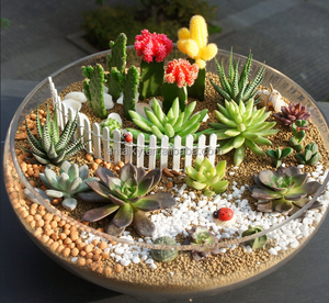 <span class=keywords><strong>ทราย</strong></span>ธรรมชาติสำหรับปลูกต้นไม้ในกระถาง - Product Image 1