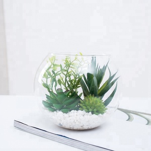 Fausses plantes succulentes artificielles de petite taille, nouveau design, en verre, pot de fleurs pour la décoration, - Product Image 2