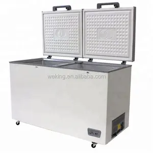 Two Solid Door Top Open Deep Freezer Cold For Frozen Food Chest Freezer