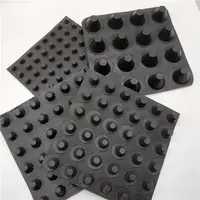 Hoge Compressie Volledige Specificaties Plastic Drie Dimensionale Ruimte Polyethyleen Hdpe Geomembrane Plastic Drainage Board