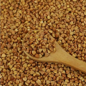 <span class=keywords><strong>Graines</strong></span> de <span class=keywords><strong>sarrasin</strong></span> grillées brutes en gros - Product Image 4