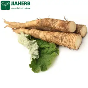 JIAHERB 18 Years 6 Factories Offer 100% Pure Natural Plant Extract Burdock Extract 10-1 Arctium lappa Full Certificated