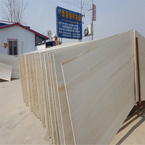 Kayu Paulownia Cina baru Harga kayu papan kayu Paulownia kayu padat