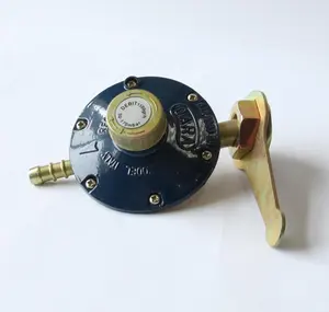 Gas Cylinder Regulator/gas regulator/gas pressure valve LJF-004