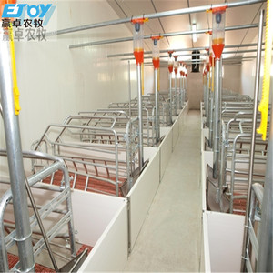 Solución Profesional Llave en Mano para la Construcción de Nuevas Granjas Porcinas - Product Image 3