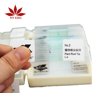 <span class=keywords><strong>De</strong></span> elementos fijos 100 piezas <span class=keywords><strong>de</strong></span> alta calidad mezclado Zoología y Botánica preparado microscopio diapositivas conjunto - Product Image 3