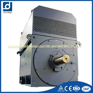 Bền Mô Men Khởi Động Cao Điện 10000Kw Ac Motor