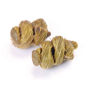 Herbe Dendrobium (Dendrobium Nobile, Tie Pi Shi Hu) - Product Image 4