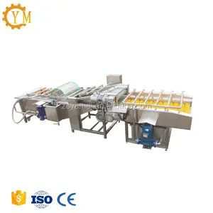 Bubble type fruit and vegetable washing machine|Spray type washing line for vegetable|Surfing type apple washer