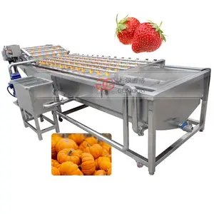4m Pumpkin Leaf Vegetable Strawberry Washing Machine With Bubble Cleaning