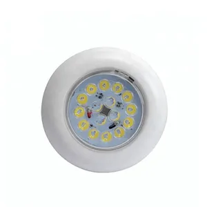 E012101 LED Tavan Işık DENIZ 12 v led sualtı ışığı soğuk beyaz