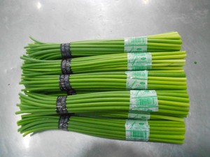 <span class=keywords><strong>Tige</strong></span> d'<span class=keywords><strong>ail</strong></span> fraîche de légumes chinois, nouveauté, 1 pièce, <span class=keywords><strong>tige</strong></span> d'<span class=keywords><strong>ail</strong></span> frais/<span class=keywords><strong>tige</strong></span> de 250g en lot - Product Image 2